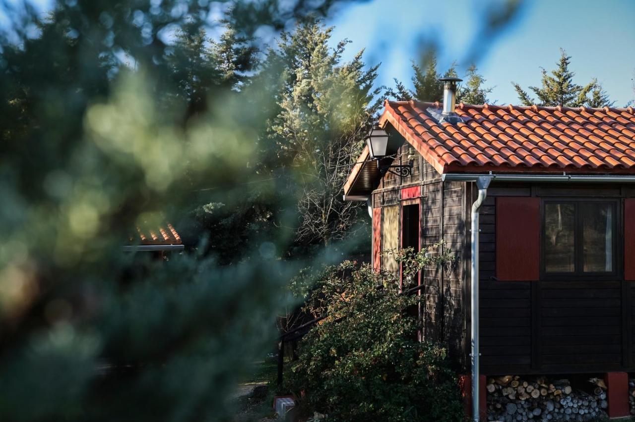 Casa Rural La Canadiense Log Cabin Guest House Buenache de la Sierra Exterior foto