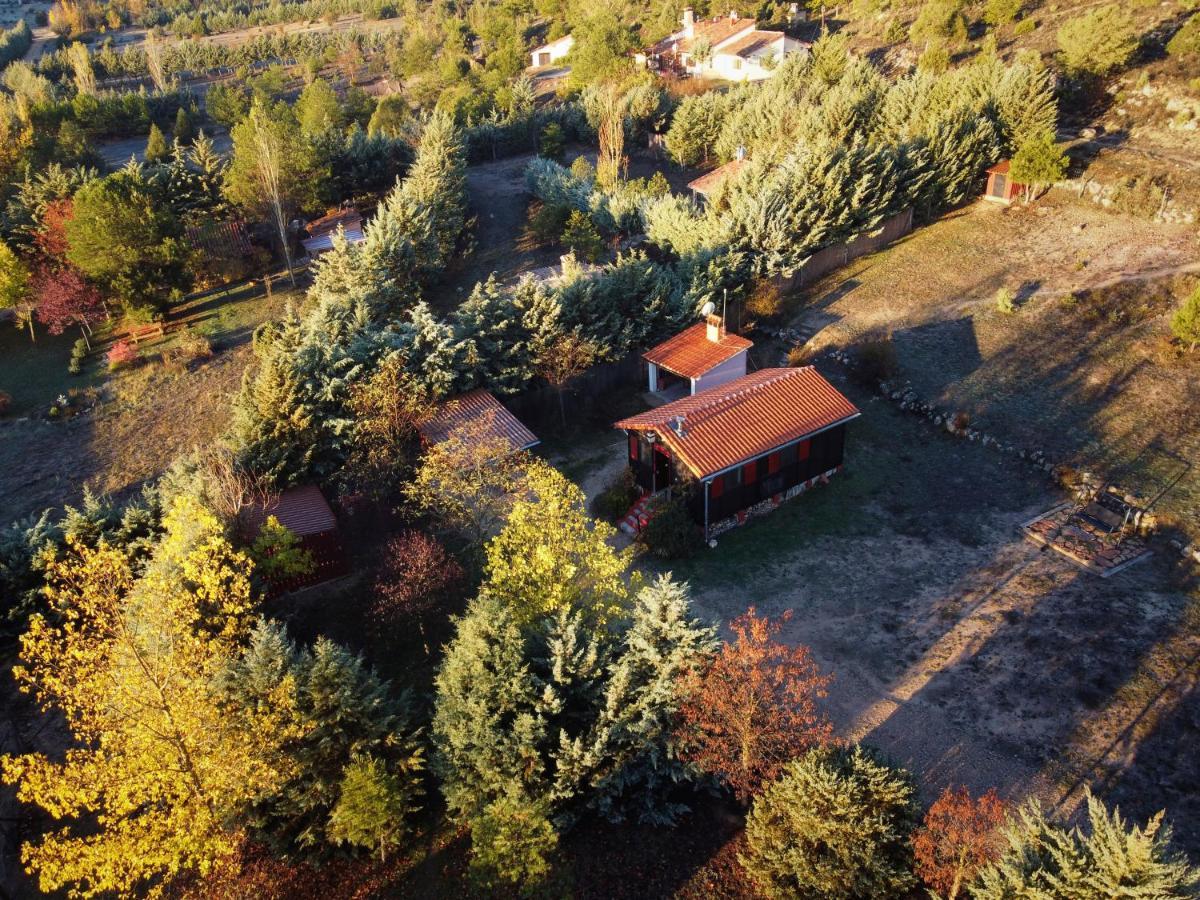 Casa Rural La Canadiense Log Cabin Guest House Buenache de la Sierra Exterior foto